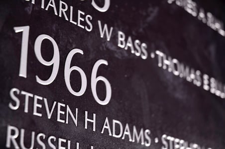 1966-vets